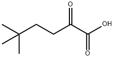 5,5-Dimethyl-2-oxohexanoic Acid Struktur