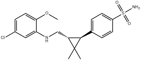 BNC375 Struktur