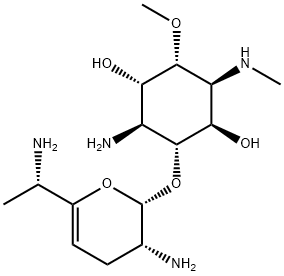 4-Amino-3-O-[(2S)-3α-amino-6-[(S)-1-aminoethyl]-3,4-dihydro-2H-pyran-2α-yl]-1,4-dideoxy-6-O-methyl-1-(methylamino)-L-chiro-inositol Struktur