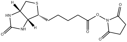 Biotin-NHS Struktur