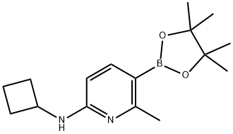 N-cyclobutyl-6-methyl-5-(tetramethyl-1,3,2-dioxaborolan-2-yl)pyridin-2-amine Struktur