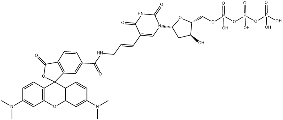 5-Aminoallyl- 2'-deoxyuridine 5'-triphosphate, labeled with 5/6-TAMRA - 1mM aqueous solution Struktur