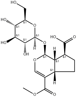 11-Methylforsythide Struktur