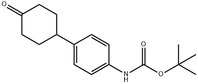 [4-(4-oxo-cyclohexyl)-phenyl]-carbamic acid tert-butyl ester Struktur