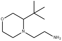 4-Morpholineethanamine, 3-(1,1-dimethylethyl)- Struktur