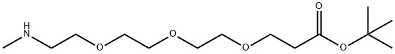 MeNH-PEG3-CH2CH2COOtBu Struktur