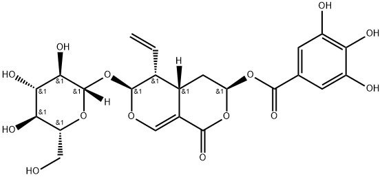 7α-Galloyloxysweroside Struktur