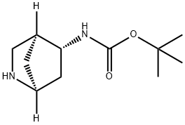 Carbamic acid, N-(1S,4S,5R)-2-azabicyclo[2.2.1]hept-5-yl-, 1,1-dimethylethyl ester Struktur