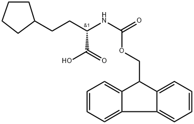  化學(xué)構(gòu)造式