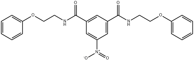 5-nitro-1-N,3-N-bis(2-phenoxyethyl)benzene-1,3-dicarboxamide Struktur