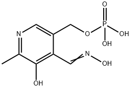 OXIME Struktur