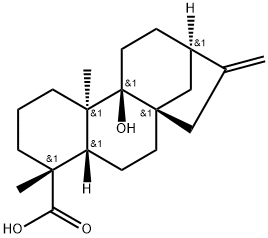 Pterokaurene L3