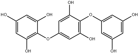 化學(xué)構(gòu)造式