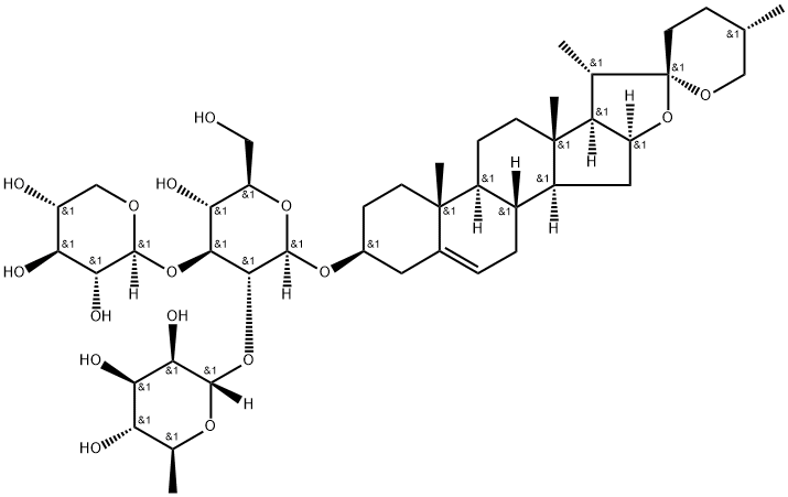 LiriopeMuscaribaily???C