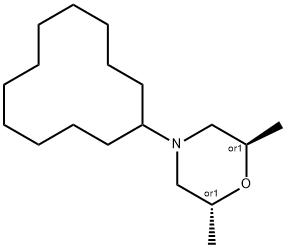 trans-4-Cyclododecyl-2,6-dimethylmorpholine Struktur