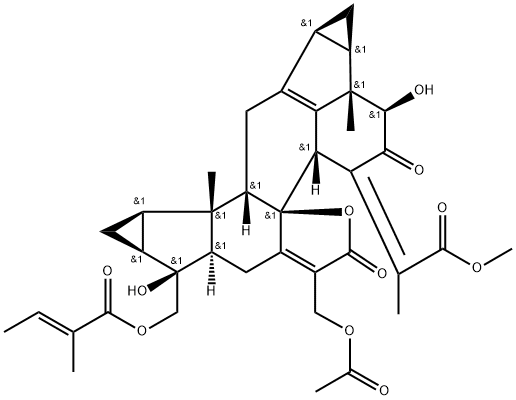 Chlorahololide D