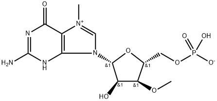 5'-Guanylic acid, 7-methyl-3'-O-methyl-, inner salt Struktur