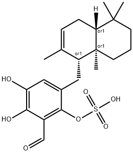 Siphonodictyal C Struktur