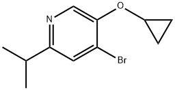 Pyridine, 4-bromo-5-(cyclopropyloxy)-2-(1-methylethyl)- Struktur