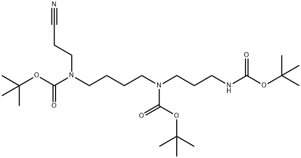 13-Oxa-2,6,11-triazapentadecanoic acid, 11-(2-cyanoethyl)-6-[(1,1-dimethylethoxy)carbonyl]-14,14-dimethyl-12-oxo-, 1,1-dimethylethyl ester Struktur