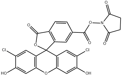 Spiro[isobenzofuran-1(3H),9'-[9H]xanthene]-6-carboxylic acid, 2',7'-dichloro-3',6'-dihydroxy-3-oxo-, 2,5-dioxo-1-pyrrolidinyl ester Struktur