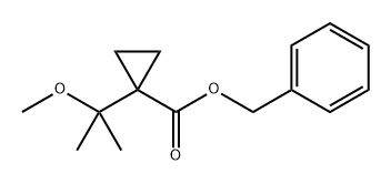 Cyclopropanecarboxylic acid, 1-(1-methoxy-1-methylethyl)-, phenylmethyl ester Struktur