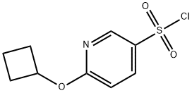 3-Pyridinesulfonyl chloride, 6-(cyclobutyloxy)- Struktur