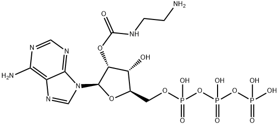 EDA-ATP Struktur