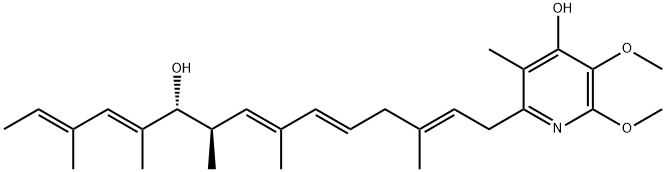 IT 143-B Struktur