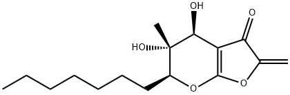 benesudon Struktur