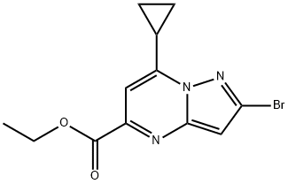 Pyrazolo[1,5-a]pyrimidine-5-carboxylic acid, 2-bromo-7-cyclopropyl-, ethyl ester Structure