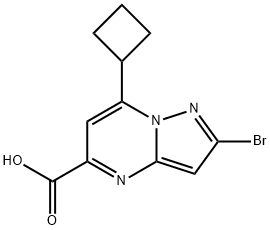 2-Bromo-7-cyclobutylpyrazolo[1,5-a]pyrimidine-5-carboxylic acid Struktur