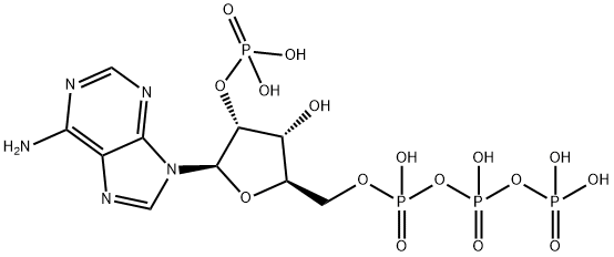 Adenosine 5'-Triphosphate, 2'-phosphate Struktur