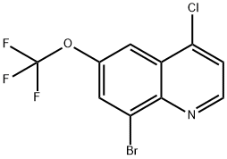 8-Bromo-4-chloro-6-(trifluoromethoxy)quinoline Struktur