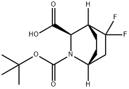 2-Azabicyclo[2.2.2]octane-2,3-dicarboxylic acid, 5,5-difluoro-, 2-(1,1-dimethyle… Struktur