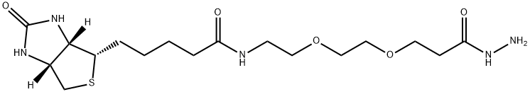 Biotin-PEG2-Hydrazide Struktur