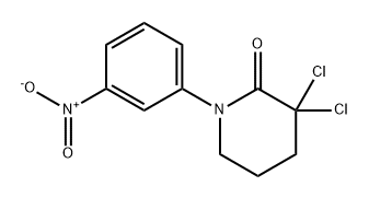 2-Piperidinone, 3,3-dichloro-1-(3-nitrophenyl)- Struktur