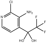 1,1-Ethanediol, 1-(3-amino-2-chloro-4-pyridinyl)-2,2,2-trifluoro- Struktur