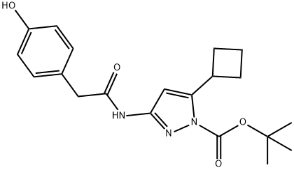 1H-Pyrazole-1-carboxylic acid, 5-cyclobutyl-3-[[2-(4-hydroxyphenyl)acetyl]amino]-, 1,1-dimethylethyl ester Struktur