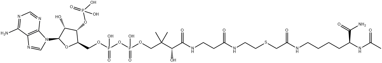 Coenzyme A, S-[2-[[(5S)-5-(acetylamino)-6-amino-6-oxohexyl]amino]-2-oxoethyl]- Struktur