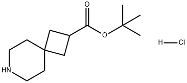 7-Azaspiro[3.5]nonane-2-carboxylic acid, 1,1-dimethylethyl ester, hydrochloride (1:1) Struktur