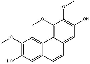  化學(xué)構(gòu)造式