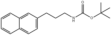 Carbamic acid, N-[3-(2-naphthalenyl)propyl]-, 1,1-dimethylethyl ester