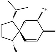  化學構(gòu)造式