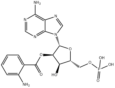 2'-O-anthraniloyl AMP Struktur