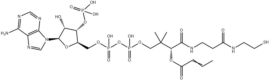 S-but-2-enoylcoenzyme A Struktur