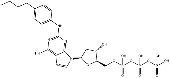 4-n-butylanilino dATP Struktur