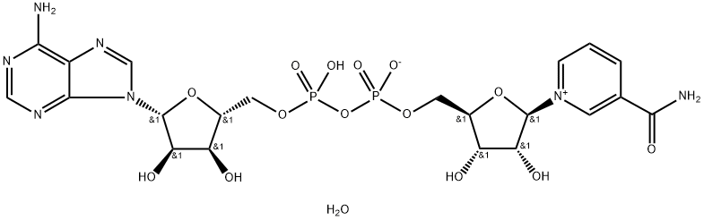 BETA-NICOTINAMIDE ADENINE DINUCLEOTIDE TRIHYDRATE, FOR BIOCHEMISTRY Struktur