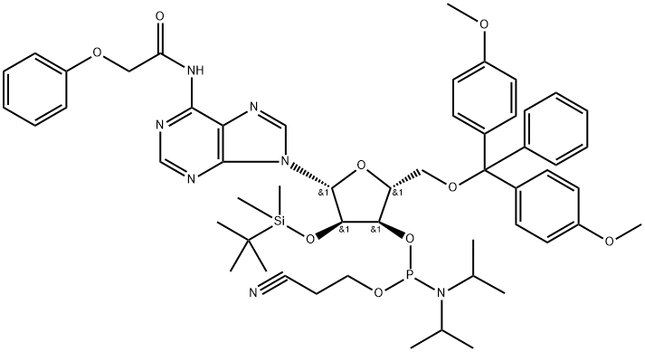 N-???-5'-O-DMT-2'-O-TBDMSCED????????????