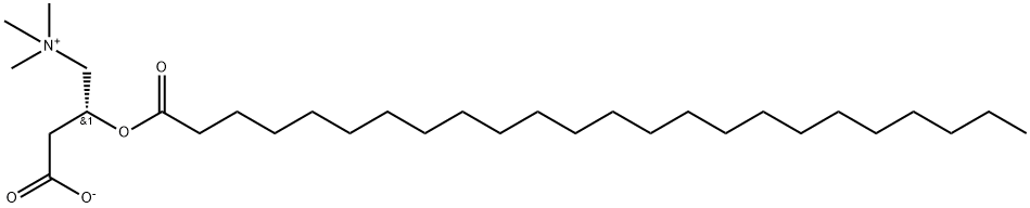 1-Propanaminium, 3-carboxy-N,N,N-trimethyl-2-[(1-oxotetracosyl)oxy]-, inner salt, (2R)- Struktur